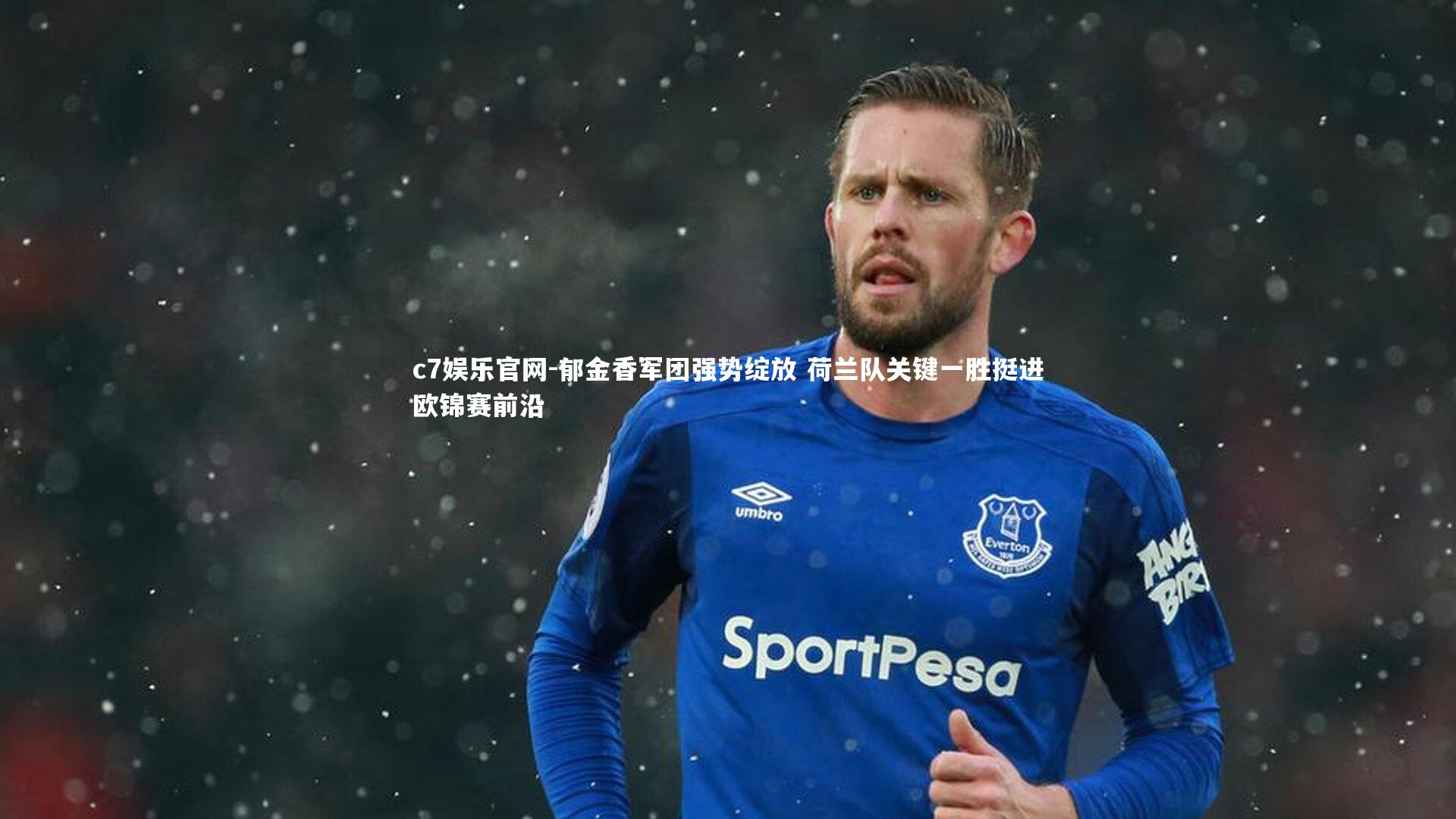 郁金香军团强势绽放 荷兰队关键一胜挺进欧锦赛前沿